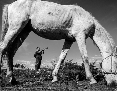 raul canibano