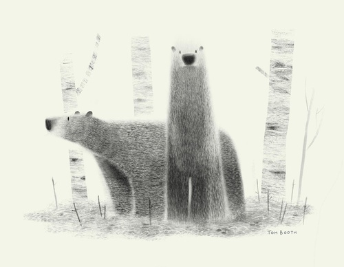 Gallery Of Illustration By Tom Booth - Usa