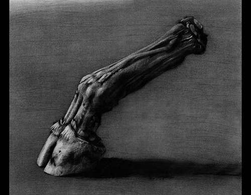 youssef abdelke