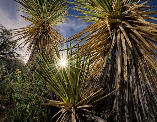 Gallery Of Photography By Keith Ladzinski - Brazil