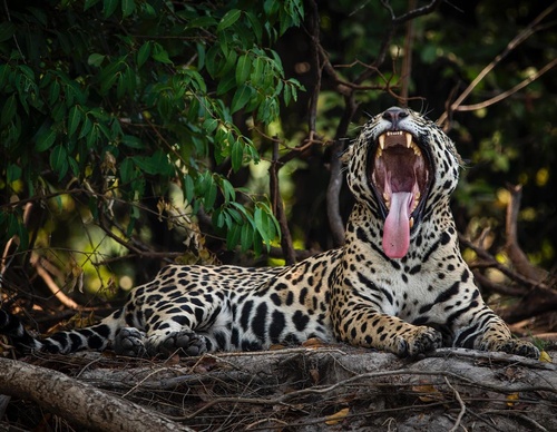 Gallery Of Photography By Fernando Faciole - Brazil