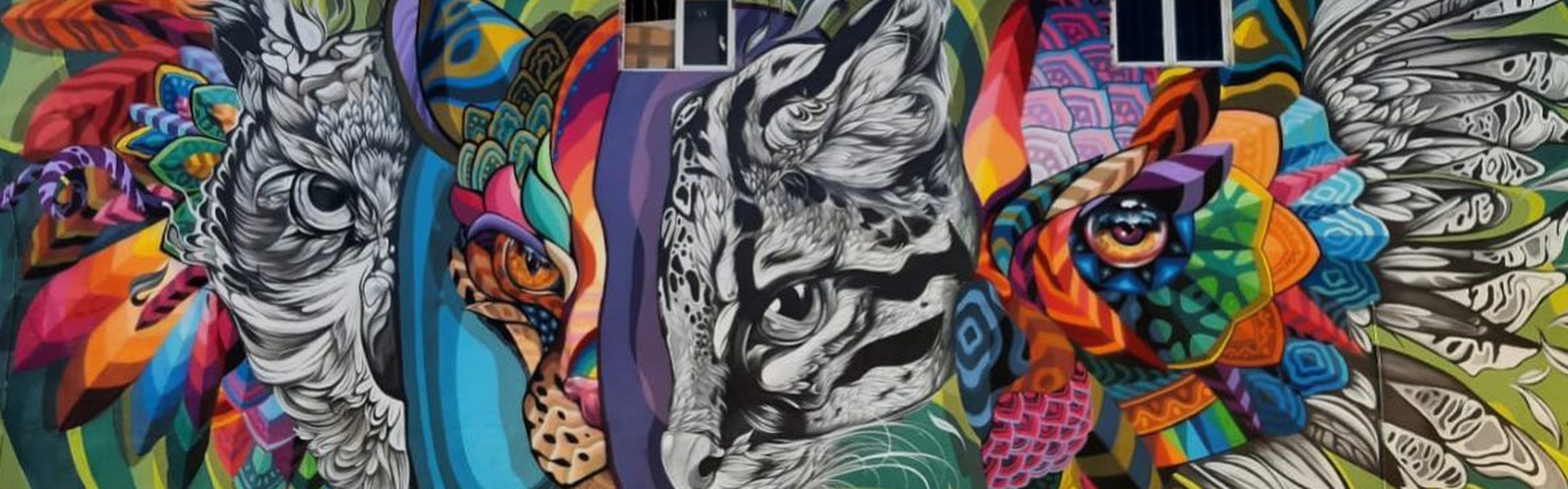 Gallery Of Street Art By Fio Silva - Argentina