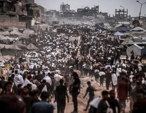 ali jadallah gaza