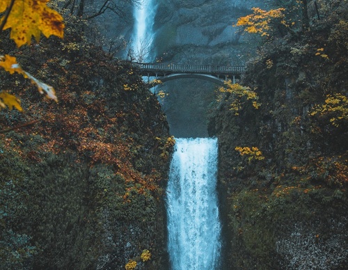Galería de fotografías de Jared - Canadá