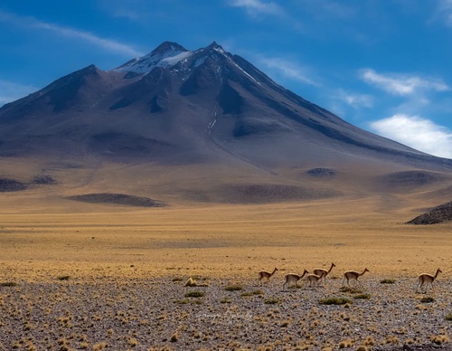Gallery Of Photography By Homayra Oyarce G - Chile