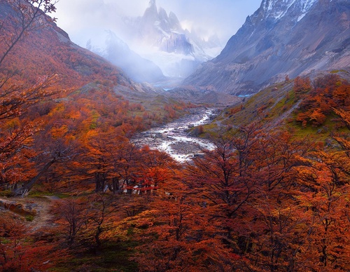 Galería de fotografía de Greg Boratyn - Argentina
