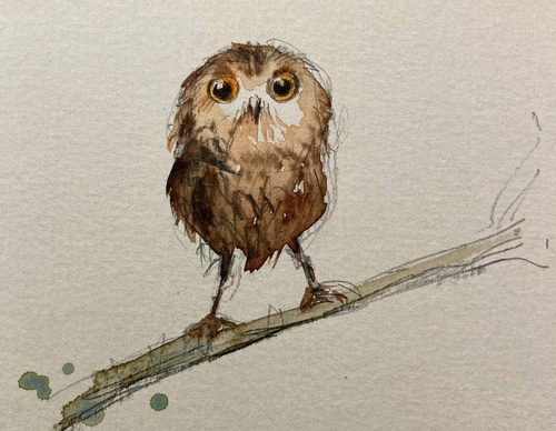 Gallery Of Illustration By Sid Meireles - Brazil