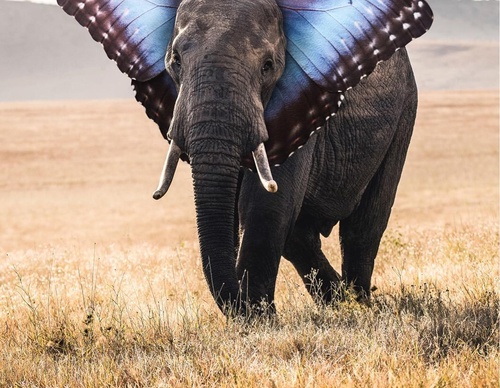 justin peters