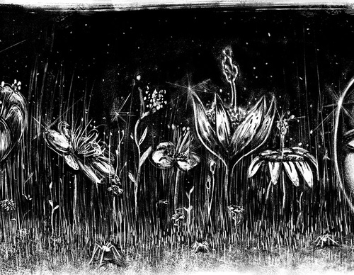 nicole sanchez bury