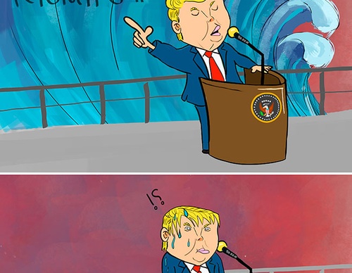 cartoon section