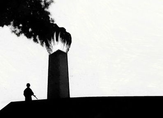 Pete Kreiner
