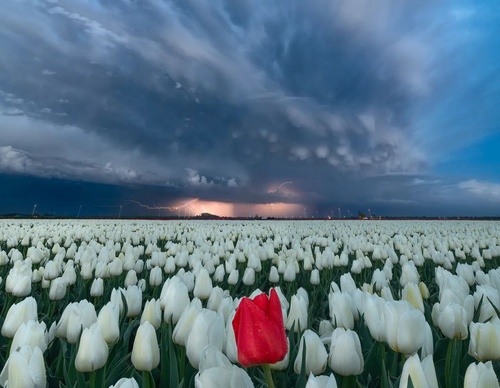 Galería de fotografía de Gijs de Reijke - Holanda