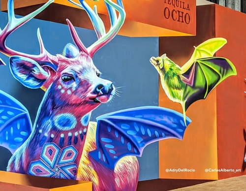 Gallery Of Street Art By Adrydelrocio - Mexico
