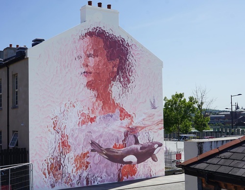 Gallery Of Street Art By Fintan Magee - Australia