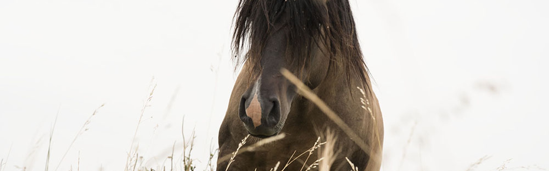 Gallery of Photography by Guillermo Srodek-Hart, Argentina