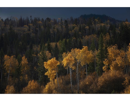 Galería de fotografías de Isaac Spotts - Estados Unidos