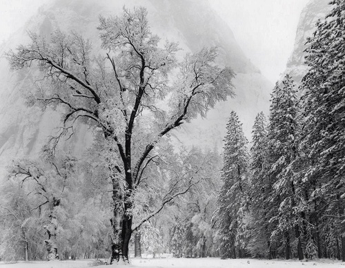 Gallery Of Photography By Ansel Adams - USA