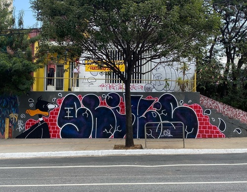 Gallery Of Street Art By Rafael Sliks - Brazil