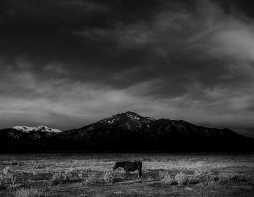 Gallery Of Photography By Jason M Peterson - United States