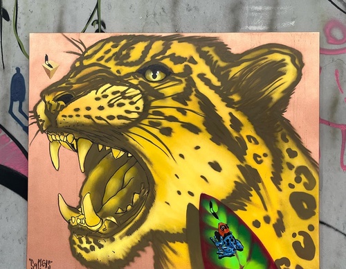 Gallery Of Street Art By Camilo Benedito - Brazil