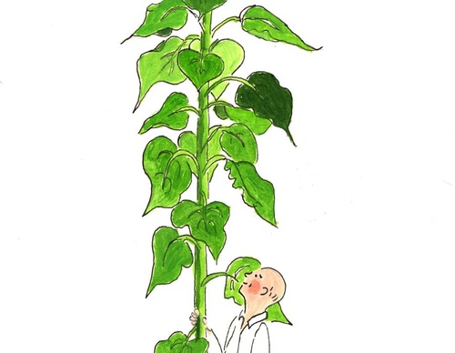 Gallery of illustration by Gwen van Knippenberg- Netherlands