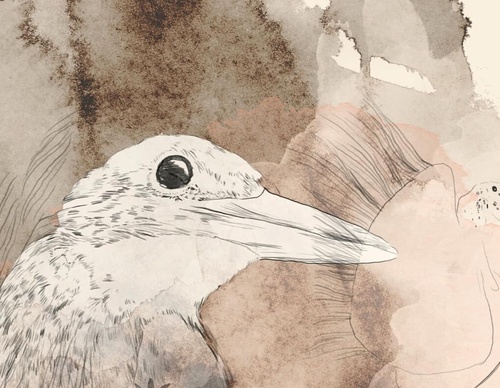 Gallery Of Illustration by Dóra Kisteleki - Hungary