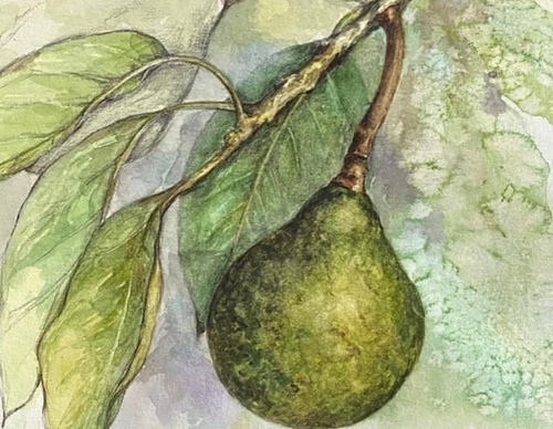Galeria de Pintura de Silvia Trad - Portuguesa