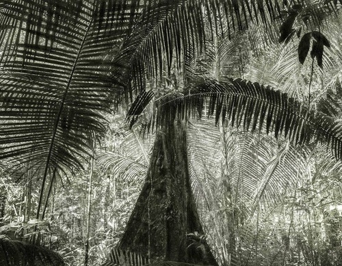 Gallery Of Photography By Cassio Vasconcellos - Brazil
