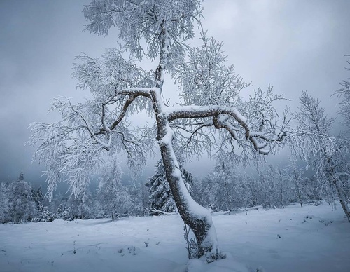 Gallery Of Photography By Daniel Weissenhorn - Germany