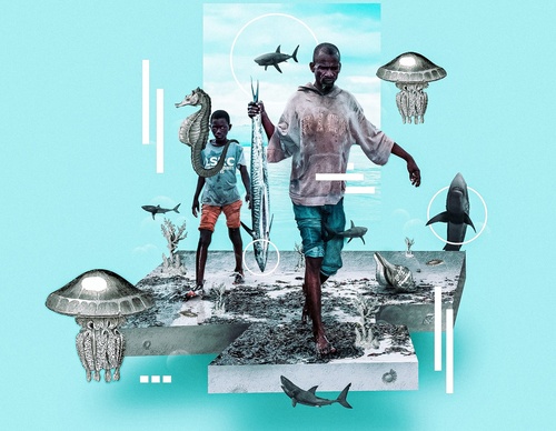 Gallery Of Illustration By Fnobre - Brazil