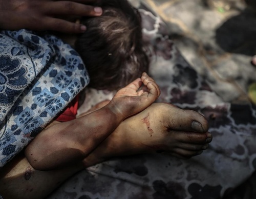 ali jadallah gaza