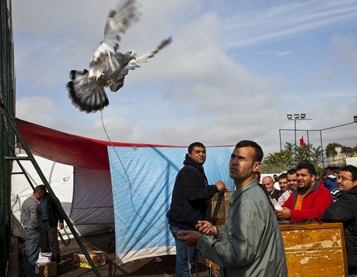 bruno barbey
