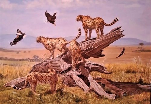 Gallery Of Painting By Jorge Castrillon - Argentina