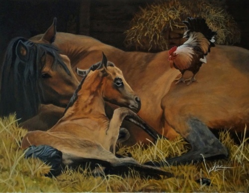 jorge castrillon