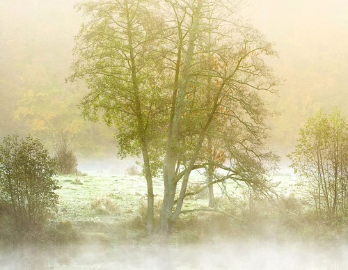 Gallery Of Photography By Mads Peter - Danish