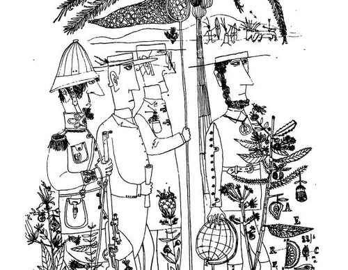 saul steinberg romania