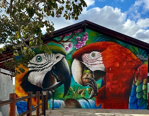 Galería de arte callejero de Fábio Gomes Trindade - Brasil