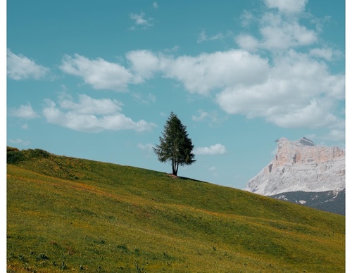 Gallery Of Photography By Paolo Pettigiani - Italy