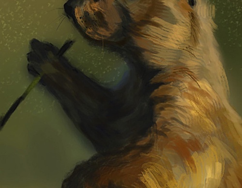 Gallery Of Illustration By Juan Duarte - Colombia