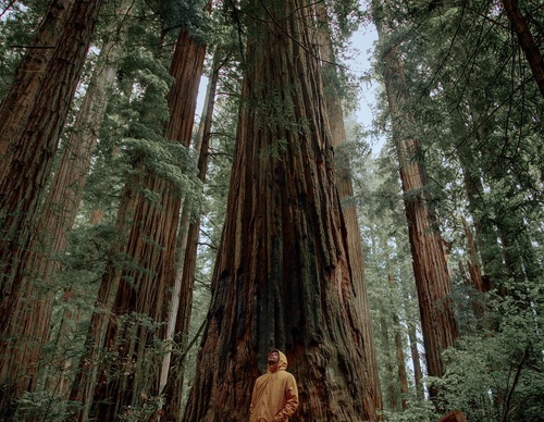 Gallery Of Photography By Chris Henry - USA