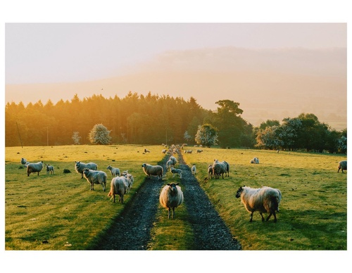 Gallery Of Photography By Daniel Casson - England