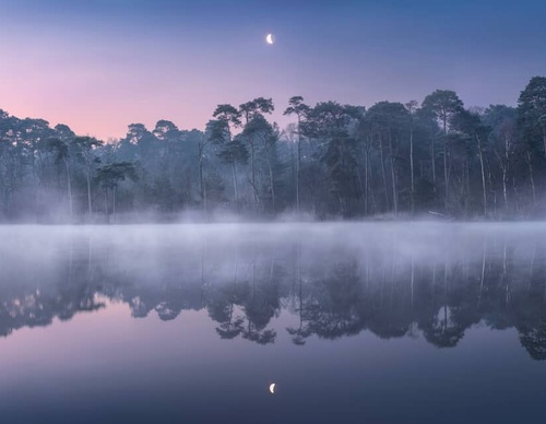 Galería de fotografía de Gijs de Reijke - Holanda