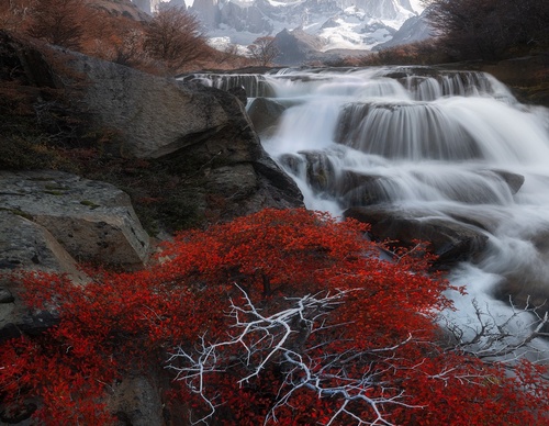 Galería de fotografía de Greg Boratyn - Argentina