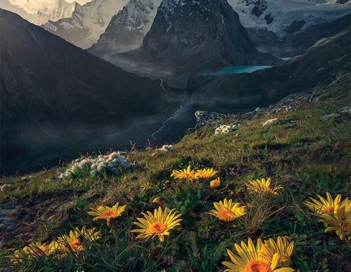 Gallery Of Photography By Max Rive - Netherlands