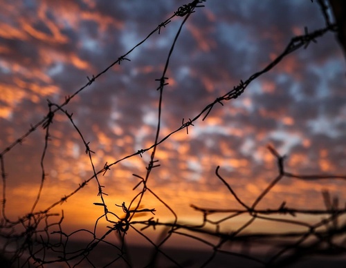 Gallery of Photography In Gaza by Ali Jadallah - Palestine