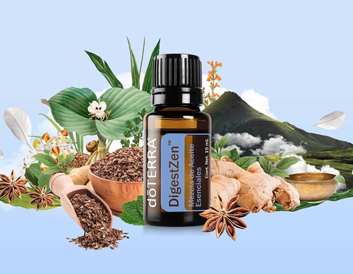 guillermo flores pacheco