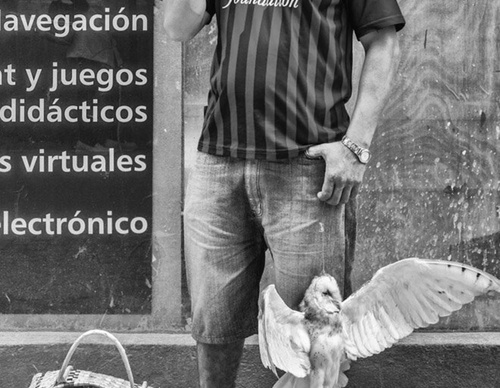 william riera