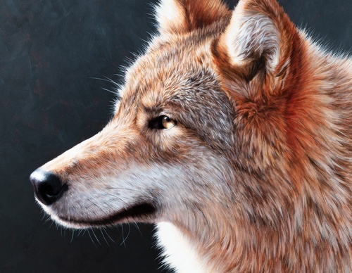 Galería de pintura realista de Marco Grasso _ Italia