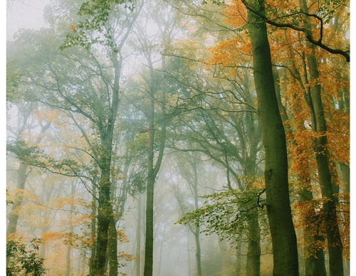 Gallery Of Photography By Daniel Casson - United Kingdom