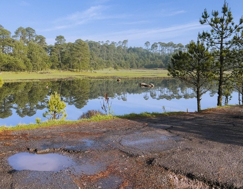holanahual